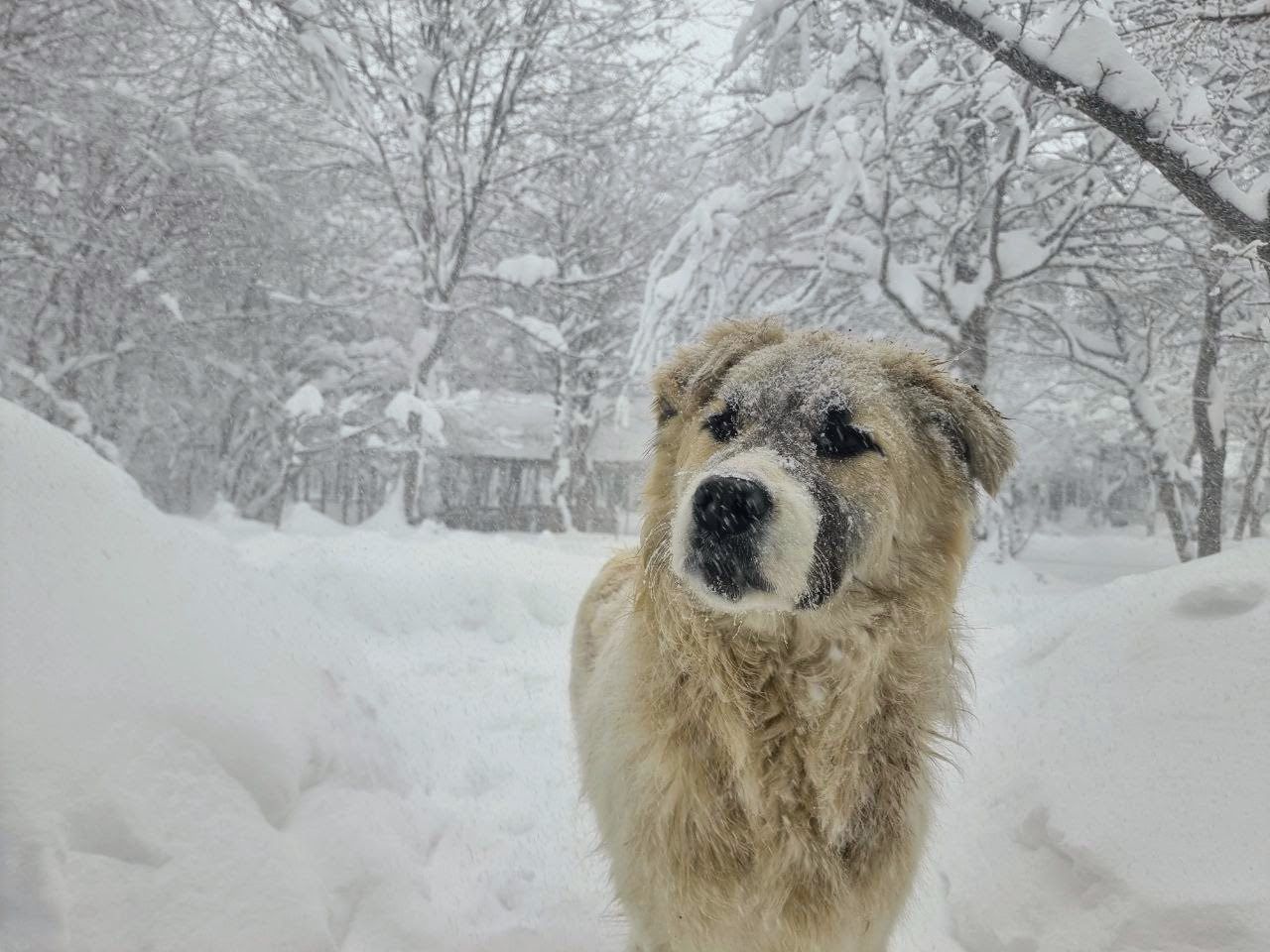 Wilderness exploration