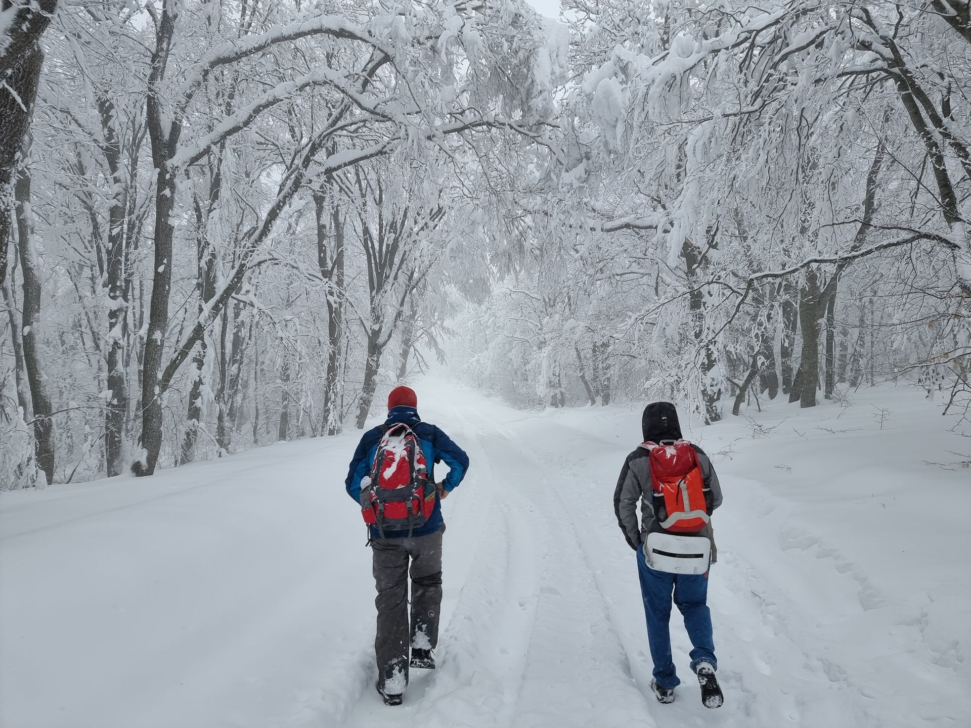 Guided mountain hiking in Azerbaijan